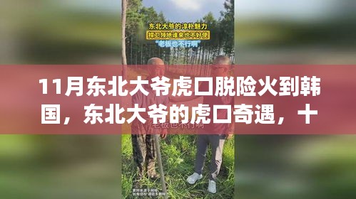 東北大爺虎口脫險故事火遍韓國，跨越國界的友情與暖心之旅