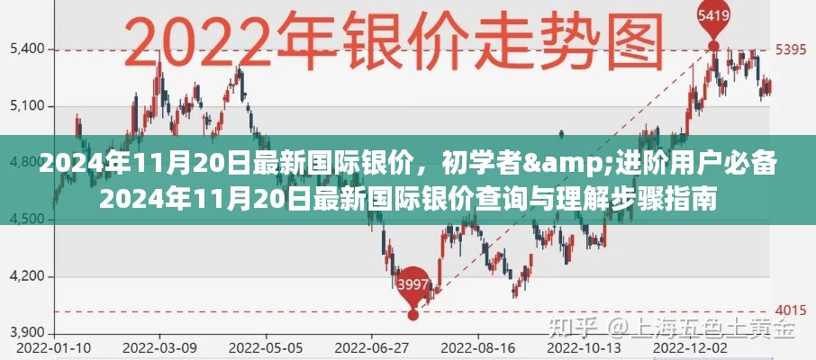 初學(xué)者與進(jìn)階用戶必備指南，最新國(guó)際銀價(jià)查詢與理解步驟（2024年11月20日版）