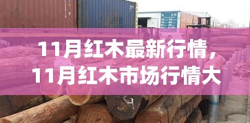 11月紅木市場行情深度解析，最新動態(tài)與未來趨勢展望