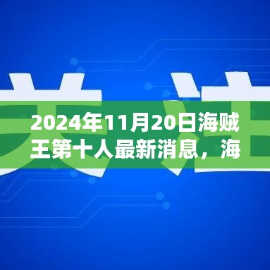 海賊王第十人最新動(dòng)態(tài)揭秘，海洋秘密與友情的紐帶在2024年11月20日的新進(jìn)展