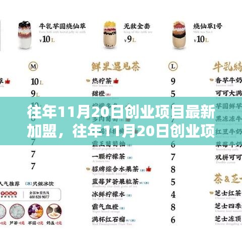 探尋最佳投資機(jī)遇，歷年11月20日創(chuàng)業(yè)項(xiàng)目加盟新動(dòng)向與加盟機(jī)遇解析