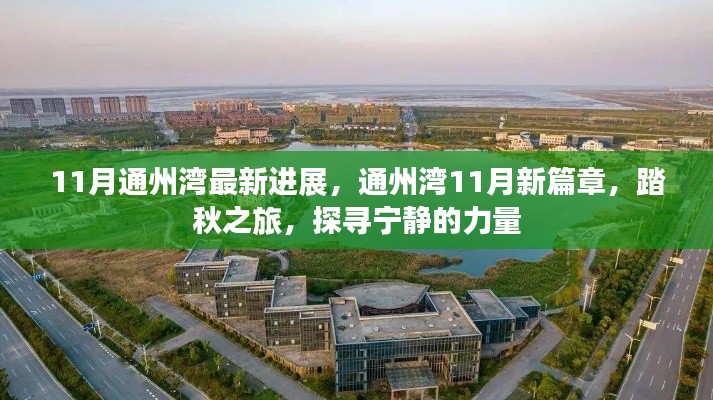 11月通州灣最新進(jìn)展揭秘，踏秋探尋寧?kù)o的力量之旅