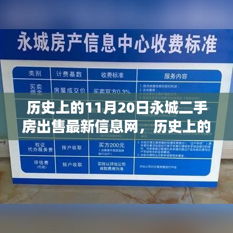 歷史上的11月20日永城二手房出售最新信息網(wǎng)，歷史上的今天，永城二手房市場的新篇章，學(xué)習(xí)變化的力量引領(lǐng)未來之光