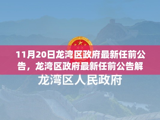 龍灣區(qū)政府最新任前公告解讀及觀點探析