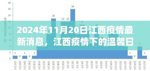 江西疫情下的溫馨日常，愛的傳遞與陪伴的故事（最新消息）