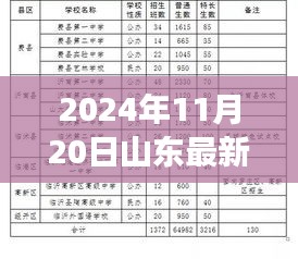 重磅更新！2024年11月20日山東最新外省入魯政策詳解，你我都需知曉