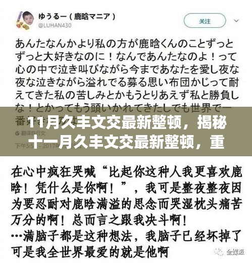 揭秘，十一月久豐文交最新整頓重塑文化交流繁榮秩序