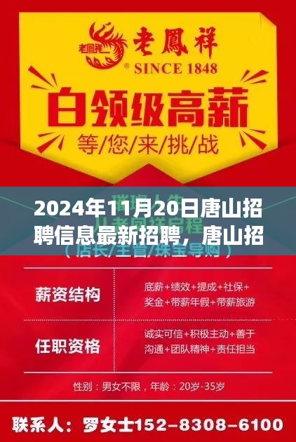 2024年11月20日唐山最新招聘信息，職場新篇章與盛放之花