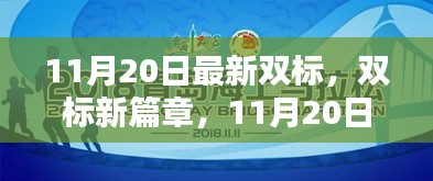 11月20日最新雙標(biāo)產(chǎn)品深度評測與介紹，開啟雙標(biāo)新篇章