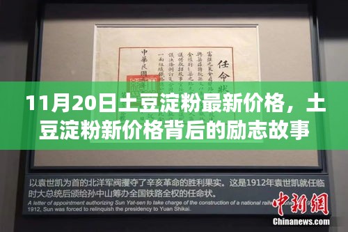 土豆淀粉新價格背后的勵志故事，學(xué)習(xí)、自信與成就感的閃耀之旅