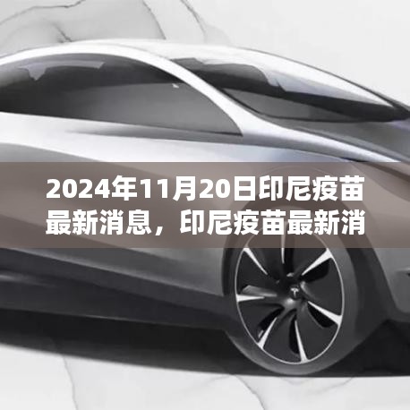 2024年11月20日印尼疫苗最新消息及接種指南全解析