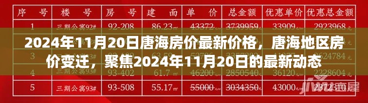 2024年11月20日唐海房價最新價格，唐海地區(qū)房價變遷，聚焦2024年11月20日的最新動態(tài)