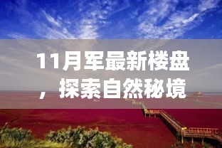 11月最新樓盤奇妙之旅，自然秘境探索與內(nèi)心寧靜的邂逅