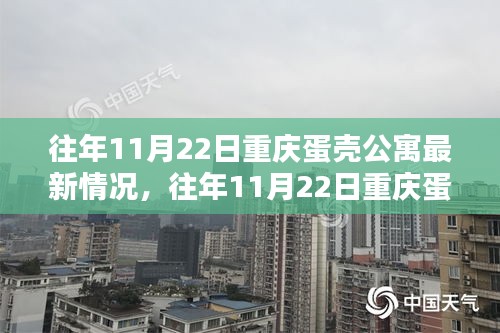 往年11月22日重慶蛋殼公寓最新動態(tài)解析，洞悉公寓最新情況與發(fā)展趨勢