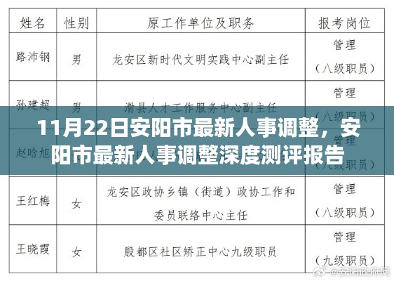 安陽市最新人事調(diào)整深度解讀與測評報告