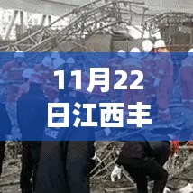 江西豐城電廠最新進展報道，最新消息更新（11月22日）