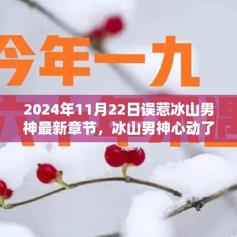 冰山男神心動(dòng)了，誤惹情緣最新篇章深度解析（2024年11月22日更新）