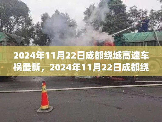 2024年11月22日成都繞城高速車禍最新進(jìn)展，深度解析與案例分析