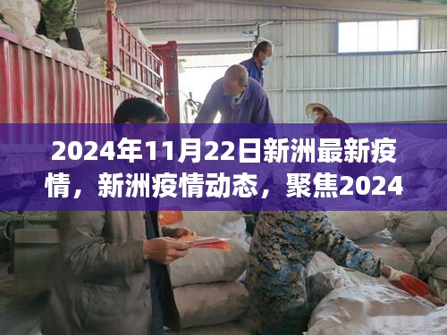 2024年11月22日新洲疫情最新動(dòng)態(tài)與深度分析