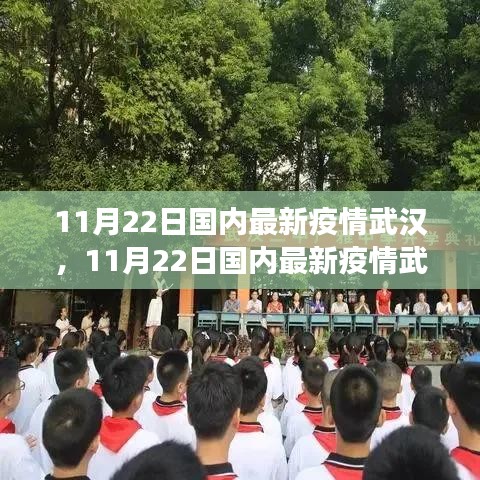 11月22日武漢疫情觀察，多方觀點(diǎn)下的深度解析與個(gè)人立場