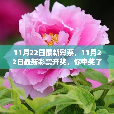 揭秘彩票背后的秘密，好運與你同在，最新彩票開獎結果揭曉！