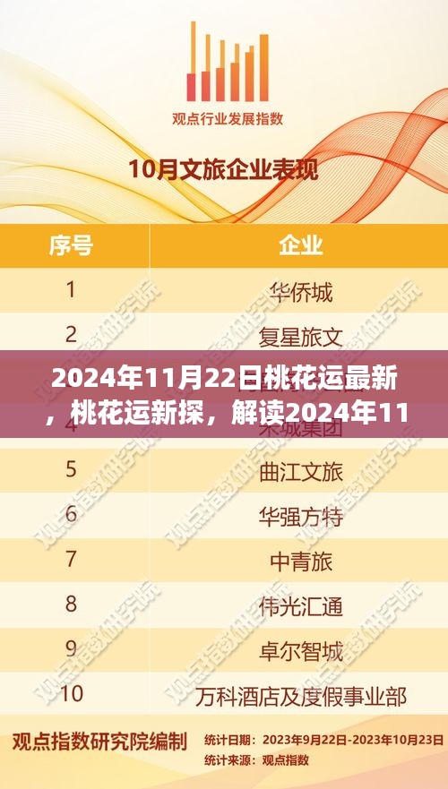 2024年11月22日桃花運深度解析，情感運勢與個人觀點