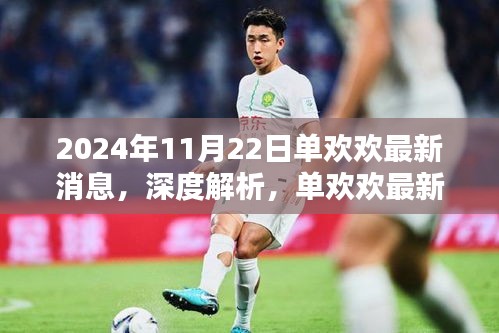 單歡歡最新消息深度解析，全面評(píng)測(cè)與介紹（2024年11月22日）