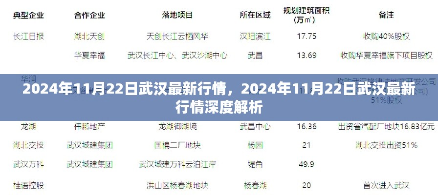 2024年11月22日武漢最新行情深度解析