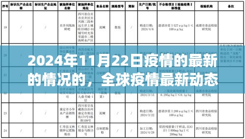 全球疫情最新動(dòng)態(tài)，聚焦2024年11月22日疫情最新進(jìn)展與最新情況