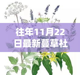 蔓草社區(qū)，記錄溫馨日常的快樂時光（附2017年11月22日精彩瞬間）