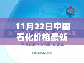 中國石化最新價格動態(tài)解析，產(chǎn)品特性、用戶體驗與目標用戶群體全面剖析（11月22日）