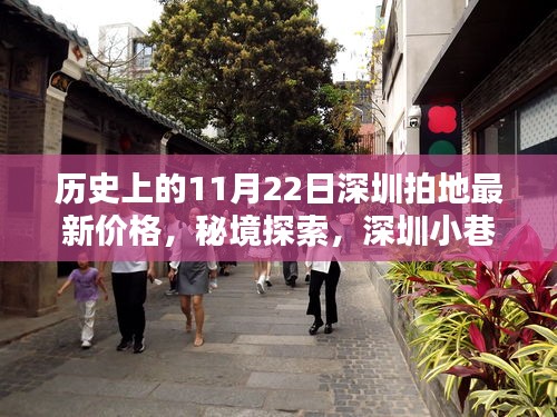 深圳土地傳奇，秘境探索與特色小店魅力，歷史拍地價(jià)格揭秘