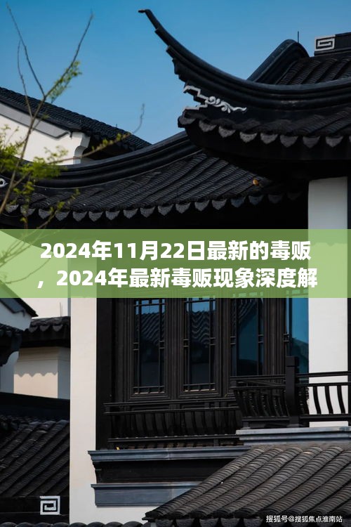 深度解析，最新毒販現(xiàn)象與趨勢預測（2024年毒販報告）