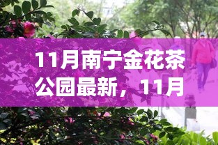 11月南寧金花茶公園，絢爛茶花盛宴啟幕，探秘之旅等你來(lái)！