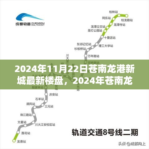 2024年蒼南龍港新城最新樓盤購(gòu)房全攻略，從入門到簽約