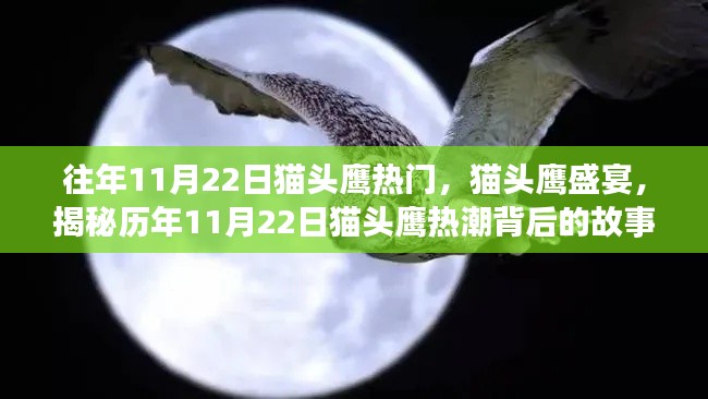 揭秘貓頭鷹熱潮背后的故事，歷年11月22日貓頭鷹盛宴盛況空前