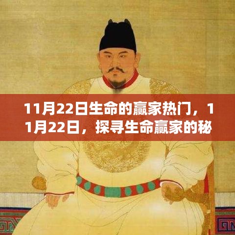 探尋生命贏家的秘訣，揭秘成功背后的秘密，11月22日熱門話題解析