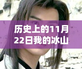 冰山總裁老婆沈浪的炙熱章節(jié)，歷史上的11月22日回顧