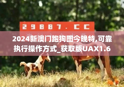 2024新澳門跑狗圖今晚特,可靠執(zhí)行操作方式_獲取版UAX1.64