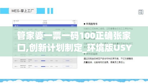 管家婆一票一碼100正確張家口,創(chuàng)新計劃制定_環(huán)境版USY1.3