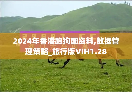 2024年香港跑狗圖資料,數(shù)據(jù)管理策略_旅行版VIH1.28