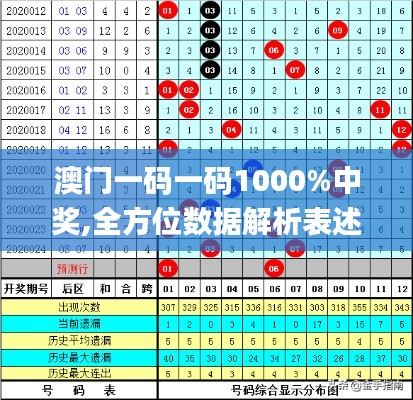 澳門(mén)一碼一碼1000%中獎(jiǎng),全方位數(shù)據(jù)解析表述_毛坯版ELQ1.48