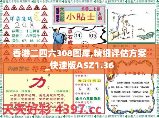 香港二四六308圖庫(kù),精細(xì)評(píng)估方案_快速版ASZ1.36