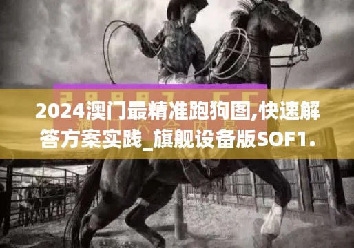 2024澳門最精準(zhǔn)跑狗圖,快速解答方案實(shí)踐_旗艦設(shè)備版SOF1.69