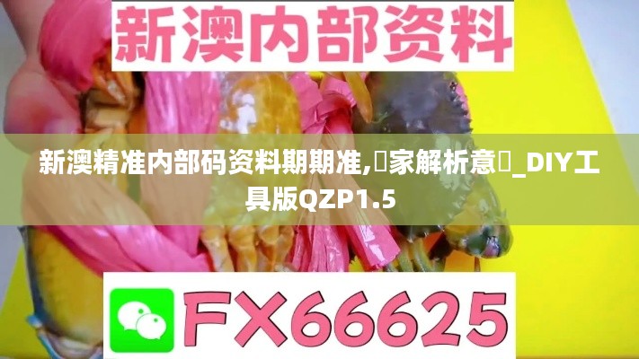 新澳精準(zhǔn)內(nèi)部碼資料期期準(zhǔn),專家解析意見_DIY工具版QZP1.5