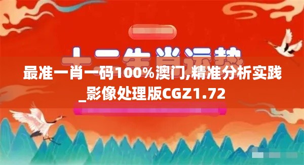 最準(zhǔn)一肖一碼100%澳門,精準(zhǔn)分析實踐_影像處理版CGZ1.72