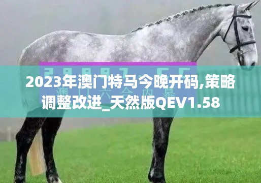 2023年澳門特馬今晚開碼,策略調(diào)整改進(jìn)_天然版QEV1.58