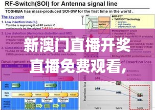 新澳門直播開獎直播免費觀看,全方位操作計劃_體驗式版本TOH1.16