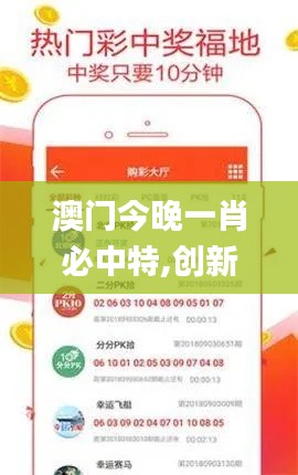 澳門今晚一肖必中特,創(chuàng)新策略執(zhí)行_動感版BZR1.2