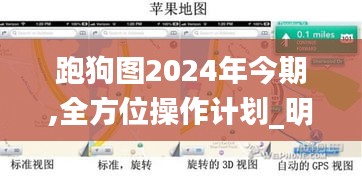 跑狗圖2024年今期,全方位操作計(jì)劃_明亮版BRT1.42